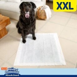 Hartz Home Protection Miracle Guard Dog Potty Pads, XX-Large, 20 Count -PetSafe Shop Sale 1016886 PT5. AC SS1800 V1700861449