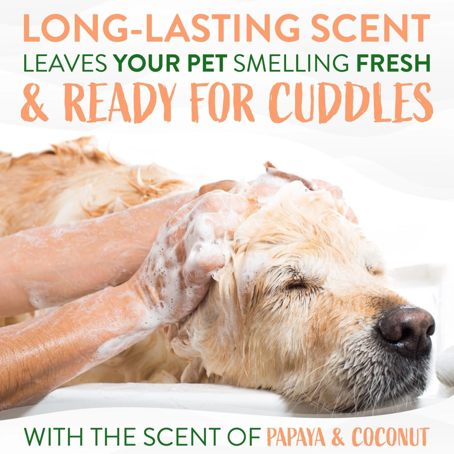 TropiClean Luxury 2 In 1 Papaya & Coconut Pet Shampoo & Conditioner & TropiClean Papaya Deodorizing Dog & Cat Spray 5 TropiClean Luxury 2 In 1 Papaya & Coconut Pet Shampoo & Conditioner & TropiClean Papaya Deodorizing Dog & Cat Spray - Image 5