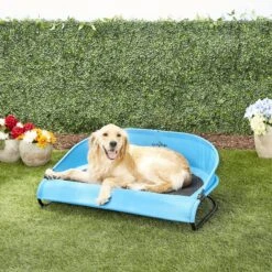 Gen7Pets Cool-Air Cot Elevated Dog Bed