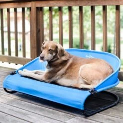 Gen7Pets Cool-Air Cot Elevated Dog Bed 12 Gen7Pets Cool-Air Cot Elevated Dog Bed -PetSafe Shop Sale 105020 PT3. AC SS1800 V1566323751