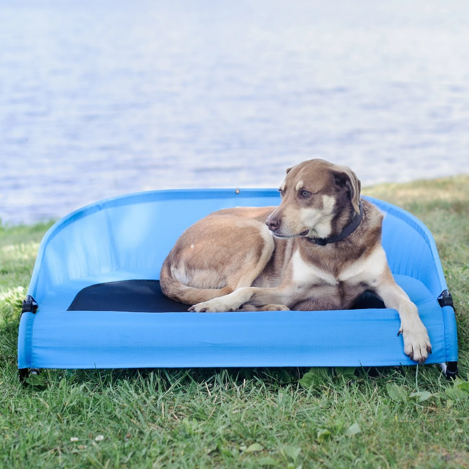 Gen7Pets Cool-Air Cot Elevated Dog Bed 5 Gen7Pets Cool-Air Cot Elevated Dog Bed - Image 5