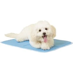 The Green Pet Shop Cool Pet Pad Cover For Cool Pet Pad 5 The Green Pet Shop Cool Pet Pad Cover For Cool Pet Pad -PetSafe Shop Sale 105753 PT3. AC SS1800 V1567527729