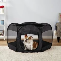 Paws & Pals Insta-Fort Portable Soft-sided Dog & Cat Playpen -PetSafe Shop Sale 106398 PT3. AC SS1800 V1567527823