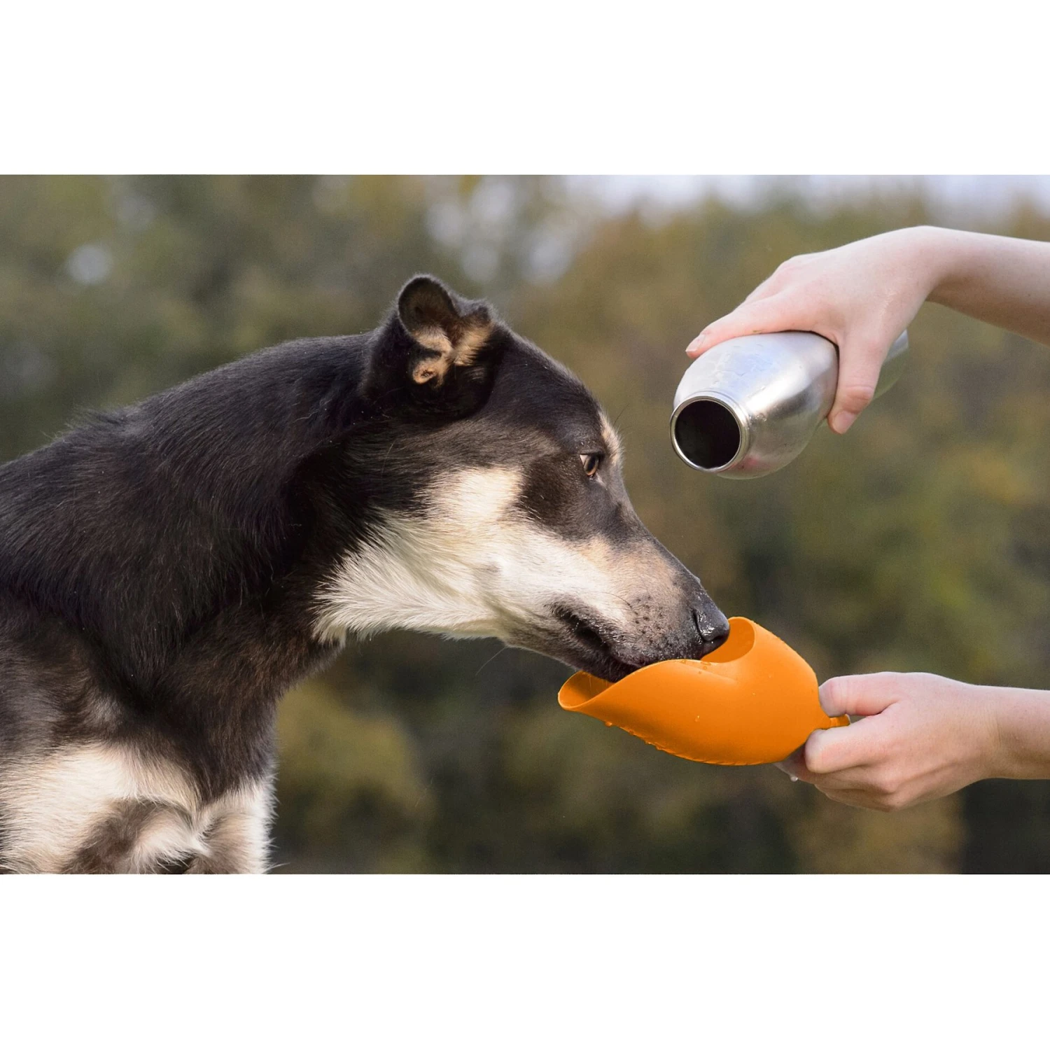 KONG H2O Stainless Steel Dog Water Bottle 2 KONG H2O Stainless Steel Dog Water Bottle - Image 2