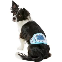 Alfie Pet Belly Band Washable Male Dog Wraps -PetSafe Shop Sale 110007 PT6. AC SS1800 V1518637607