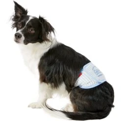 Alfie Pet Belly Band Washable Male Dog Wraps -PetSafe Shop Sale 110007 PT7. AC SS1800 V1518637613