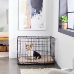 Frisco Swirl Dog Crate Mat 10 Frisco Swirl Dog Crate Mat -PetSafe Shop Sale 110506 PT5. AC SS1800 V1635258765