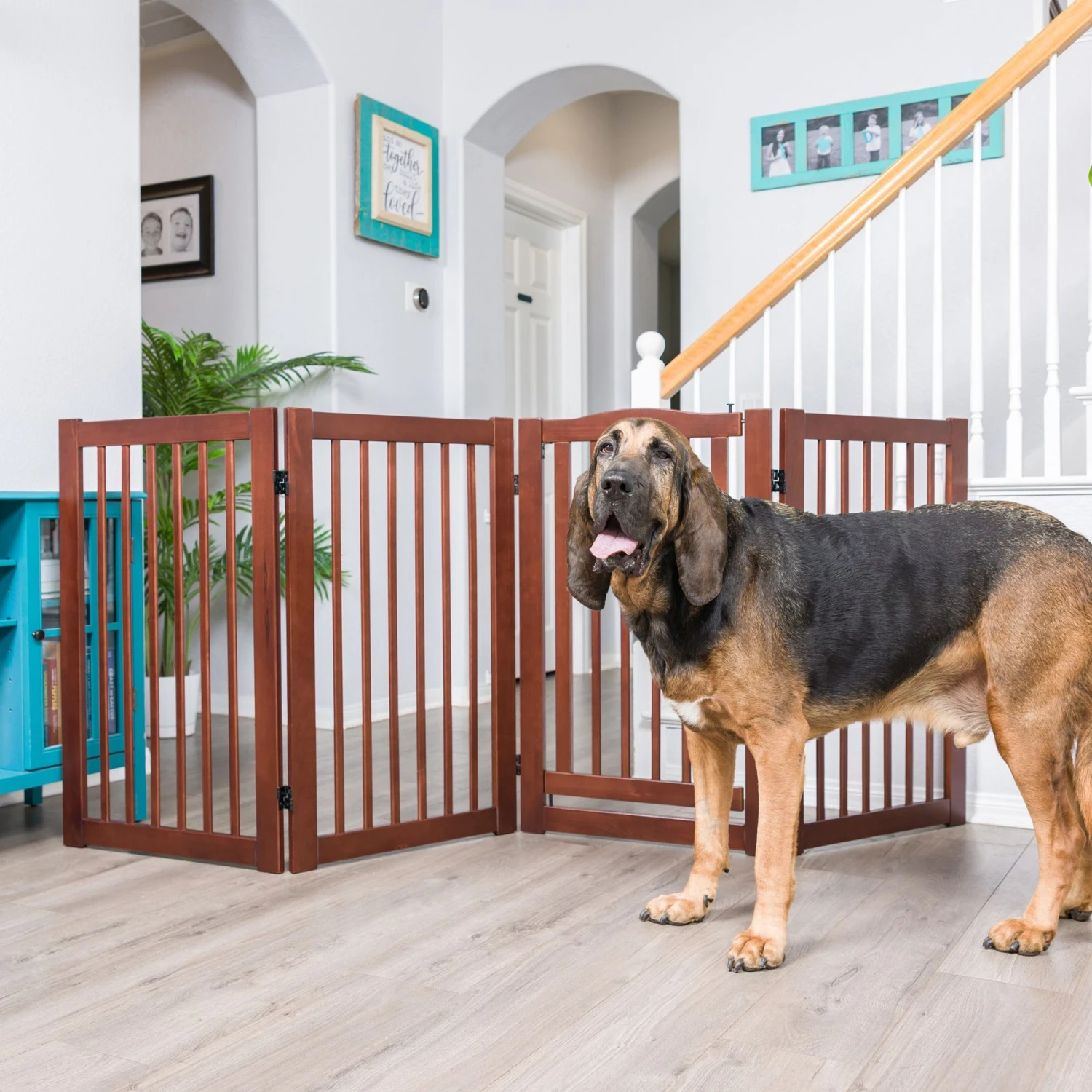 Primetime Petz 360 Configurable Gate With Door 1 Primetime Petz 360 Configurable Gate With Door