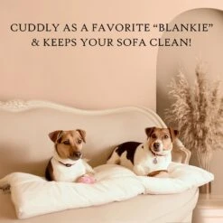 Pet Dreams Sleep-eez Classic Reversible Dog Crate Mat -PetSafe Shop Sale 112898 PT5. AC SS1800 V1684610839