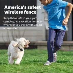 PetSafe Stay & Play Wireless Fence With Replaceable Battery Collar -PetSafe Shop Sale 113385 PT4. AC SS1800 V1685726942