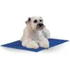 K&H Pet Products Coolin' Dog Mat