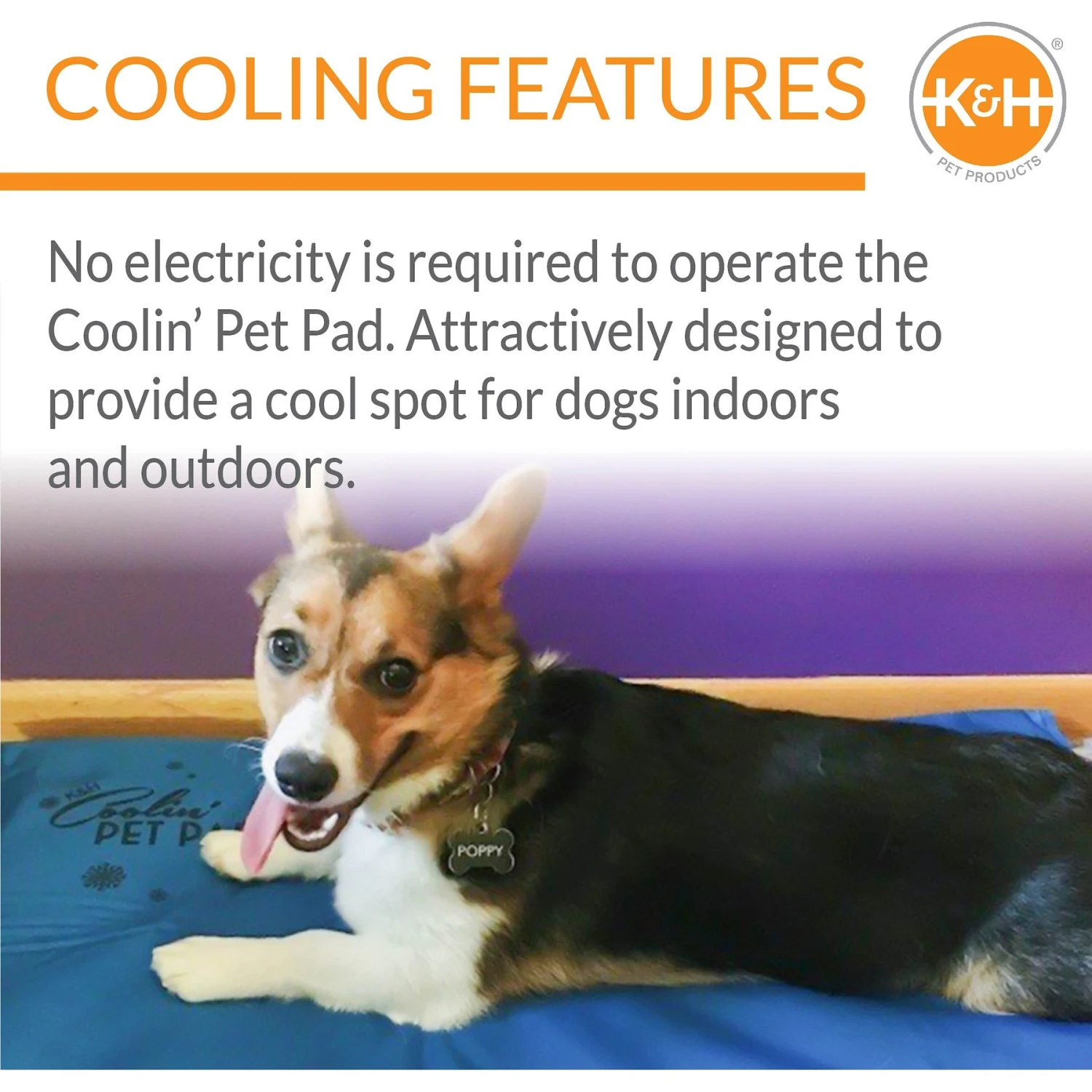 K&H Pet Products Coolin' Dog Mat 4 K&H Pet Products Coolin' Dog Mat - Image 4