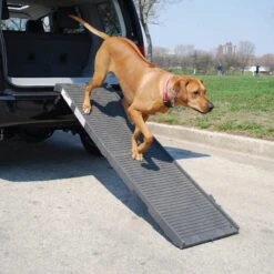 PetSTEP Folding Pet Ramp -PetSafe Shop Sale 114031 PT3. AC SS1800 V1489015063