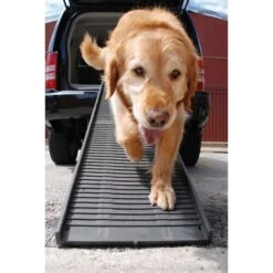 PetSTEP Folding Pet Ramp -PetSafe Shop Sale 114031 PT4. AC SS1800 V1489015070