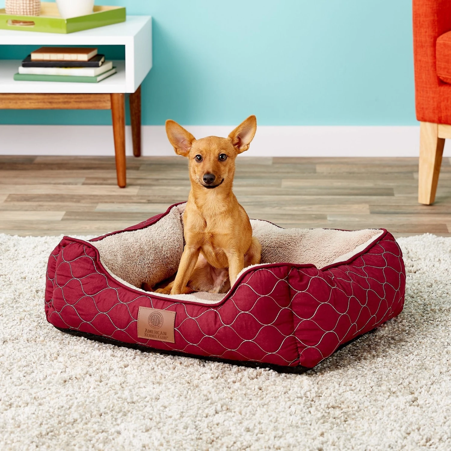 American Kennel Club AKC Circle Stitch Orthopedic Bolster Cat & Dog Bed 1 American Kennel Club AKC Circle Stitch Orthopedic Bolster Cat & Dog Bed