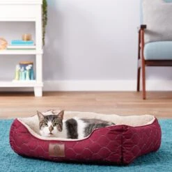 American Kennel Club AKC Circle Stitch Orthopedic Bolster Cat & Dog Bed 9 American Kennel Club AKC Circle Stitch Orthopedic Bolster Cat & Dog Bed -PetSafe Shop Sale 115250 PT3. AC SS1800 V1566318761