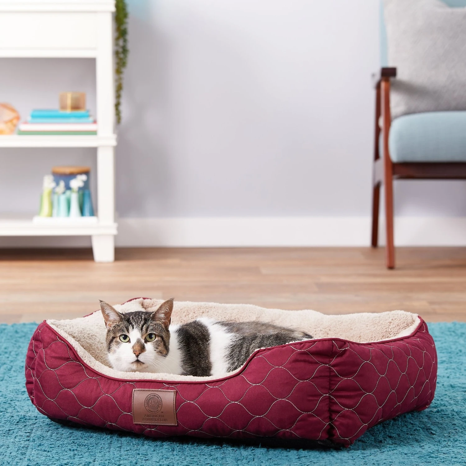 American Kennel Club AKC Circle Stitch Orthopedic Bolster Cat & Dog Bed 4 American Kennel Club AKC Circle Stitch Orthopedic Bolster Cat & Dog Bed - Image 4