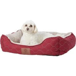 American Kennel Club AKC Circle Stitch Orthopedic Bolster Cat & Dog Bed 10 American Kennel Club AKC Circle Stitch Orthopedic Bolster Cat & Dog Bed -PetSafe Shop Sale 115250 PT4. AC SS1800 V1569532397