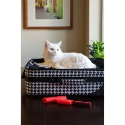 Lilly Brush Be Forever Furless Dog & Cat Hair Remover Mini 13 Lilly Brush Be Forever Furless Dog & Cat Hair Remover Mini -PetSafe Shop Sale 115416 PT5. AC SS1800 V1491921791