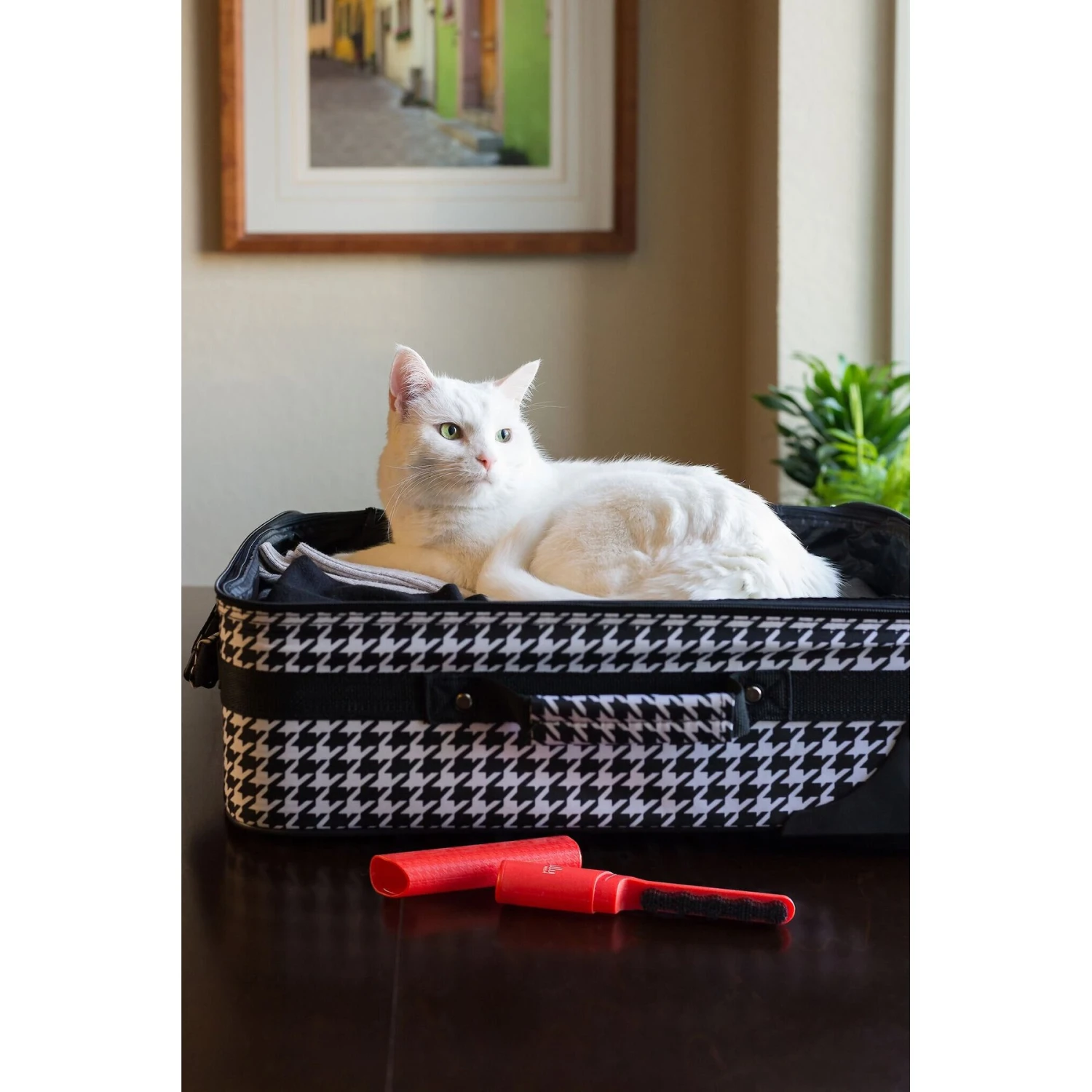 Lilly Brush Be Forever Furless Dog & Cat Hair Remover Mini 6 Lilly Brush Be Forever Furless Dog & Cat Hair Remover Mini - Image 6