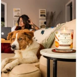 Pet House Pumpkin Spice Natural Plant-Based Wax Candle -PetSafe Shop Sale 115981 PT7. AC SS1800 V1634837489