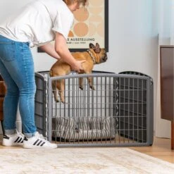 IRIS USA 4-Panel Dog Exercise Playpen, 24-in -PetSafe Shop Sale 116440 PT6. AC SS1800 V1689701191