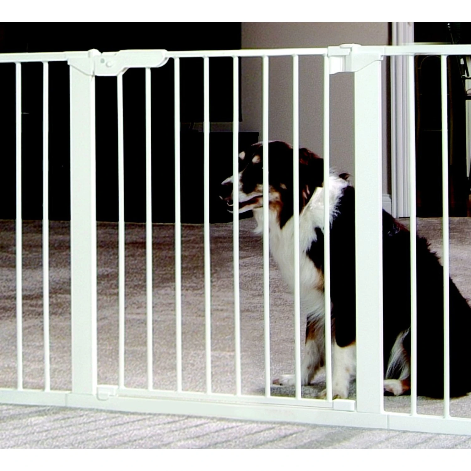 Command Pet Products 42" Tall Pressure Mounted Pet Gate, White 3 Command Pet Products 42" Tall Pressure Mounted Pet Gate, White - Image 3
