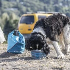 Kurgo Kibble Carrier Travel Dog Food Container -PetSafe Shop Sale 116581 PT5. AC SS1800 V1627350677