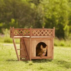 Merry Products Room With A View Wood Dog & Cat House -PetSafe Shop Sale 118007 PT4. AC SS1800 V1562180619