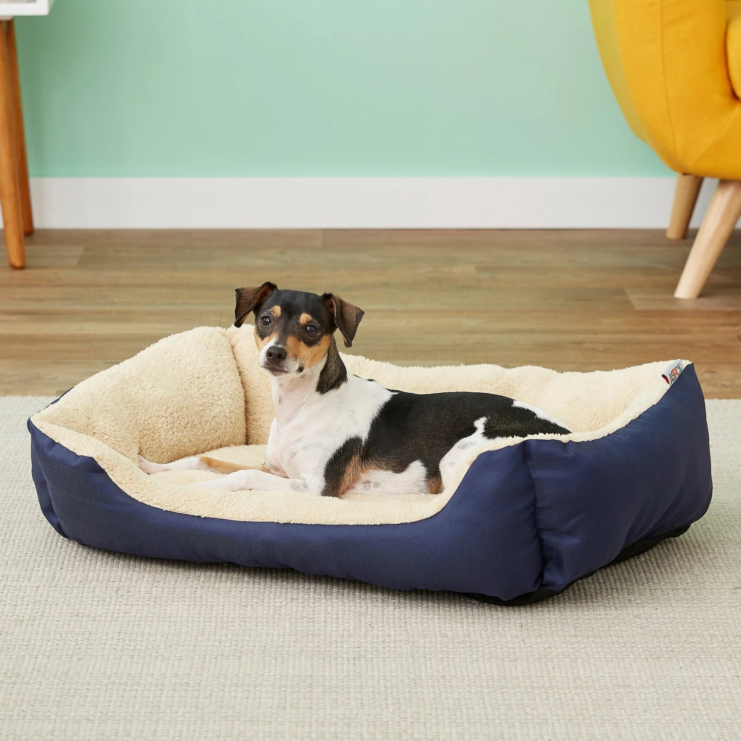 ASPCA Microtech Cuddler Dog Bed 1 ASPCA Microtech Cuddler Dog Bed