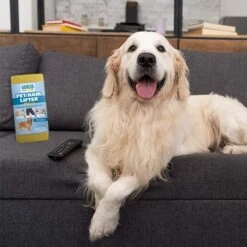 Gonzo Natural Magic Pet Hair Lifter -PetSafe Shop Sale 120851 PT6. AC SS1800 V1623095261