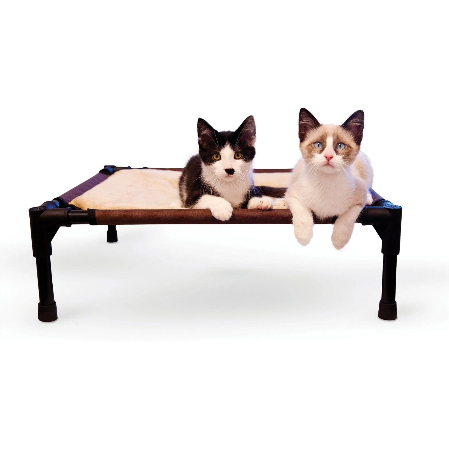 K&H Pet Products Comfy Pet Cot Elevated Pet Bed 1 K&H Pet Products Comfy Pet Cot Elevated Pet Bed