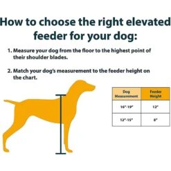 OurPets Comfort Elevated Dog & Cat Bowls -PetSafe Shop Sale 122825 PT5. AC SS1800 V1539789718