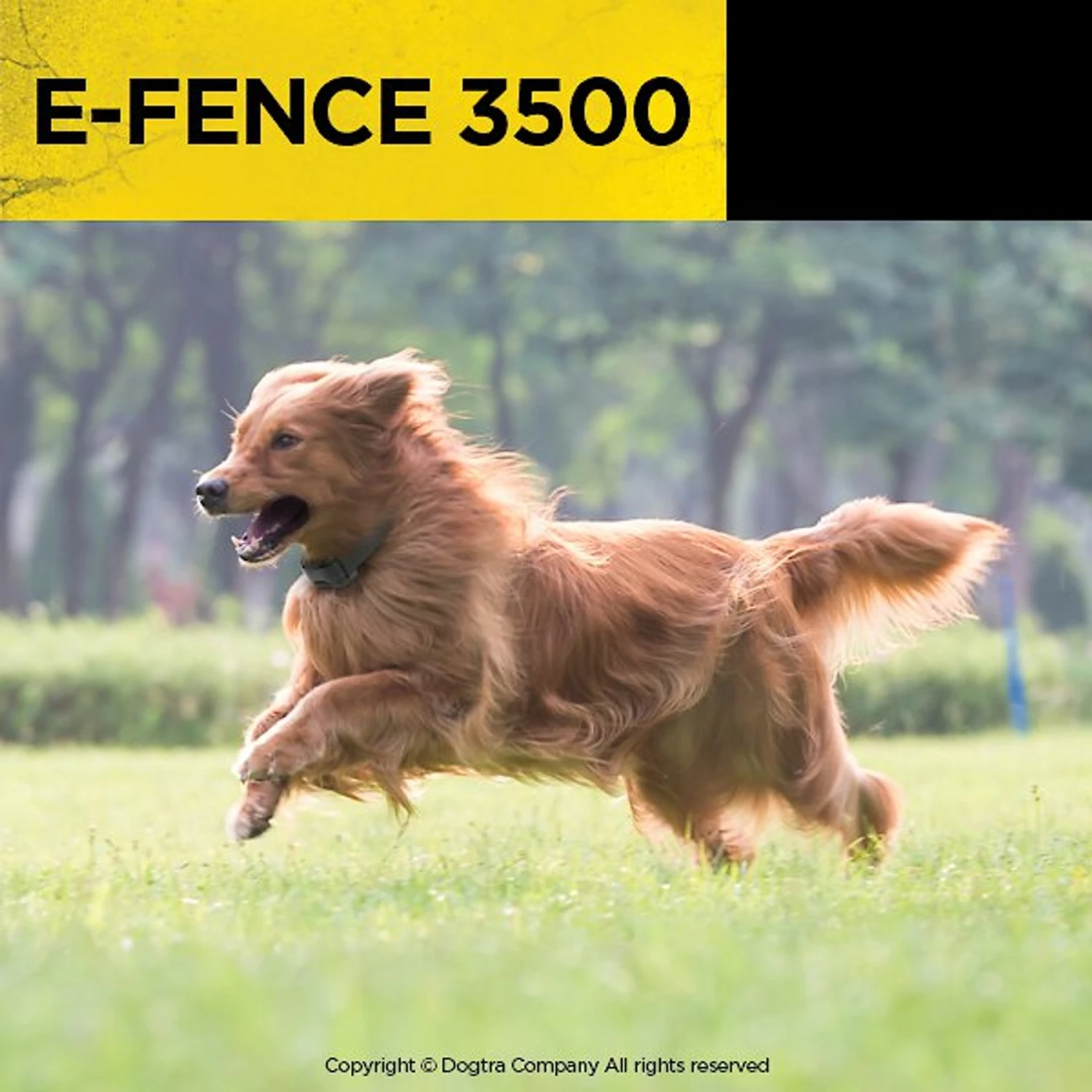 Dogtra E-FENCE 3500 Containment System In-Ground Wired Fence With Rechargeable Wireless Collar 9 Dogtra E-FENCE 3500 Containment System In-Ground Wired Fence With Rechargeable Wireless Collar - Image 9