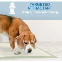 Four Paws Wee-Wee Superior Performance Eco Dog Pee Pads -PetSafe Shop Sale 124513 PT5. AC SS1800 V1685647137