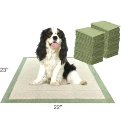 Four Paws Wee-Wee Superior Performance Eco Dog Pee Pads -PetSafe Shop Sale 124513 PT6. AC SS1800 V1685646733