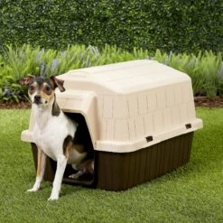 Aspen Pet Petbarn 3 Plastic Dog House