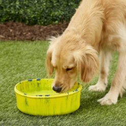 Ruff Dawg Non-Skid Rubber Dog Bowl 9 Ruff Dawg Non-Skid Rubber Dog Bowl -PetSafe Shop Sale 125618 PT2. AC SS1800 V1595522480