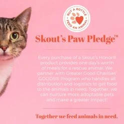 Skout's Honor Professional Strength Urine & Odor Destroyer 11 Skout's Honor Professional Strength Urine & Odor Destroyer -PetSafe Shop Sale 126642 PT5. AC SS1800 V1658229221