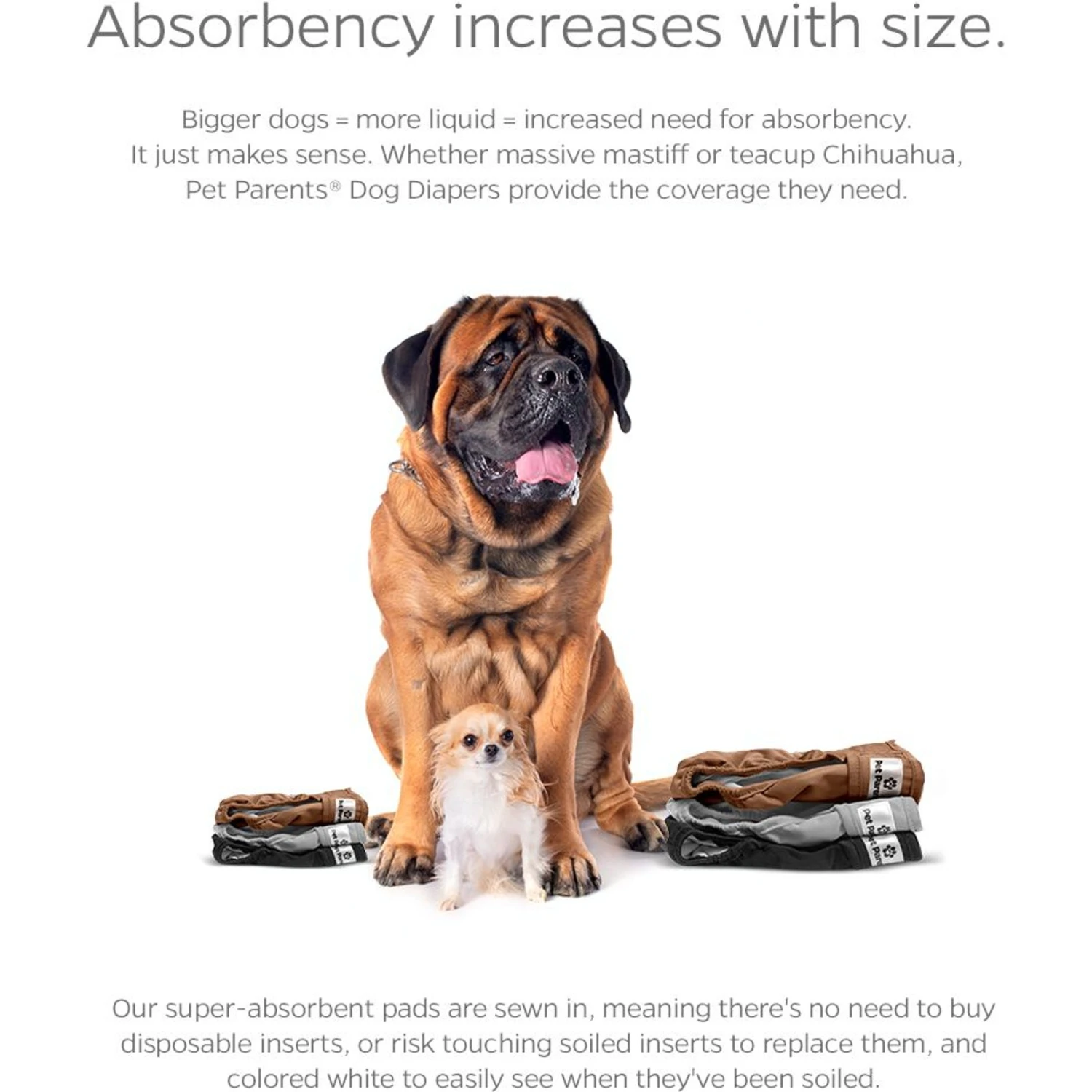 Pet Parents Washable Male & Female Dog Diapers + Extendrs 5 Pet Parents Washable Male & Female Dog Diapers + Extendrs - Image 5