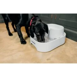 Dog Mate Large Fresh Water Plastic Dog & Cat Fountain, 192-oz -PetSafe Shop Sale 127457 PT3. AC SS1800 V1663712299