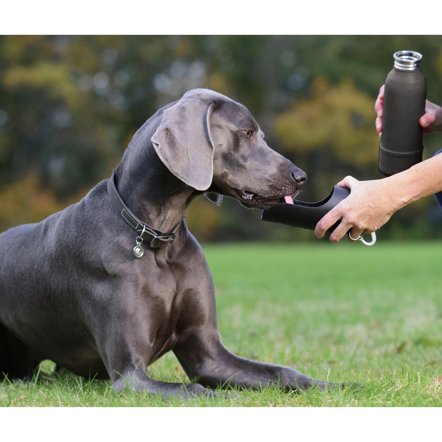 KONG H2O K9 UNIT Insulated Stainless Steel Dog Water Bottle & Travel Bowl 2 KONG H2O K9 UNIT Insulated Stainless Steel Dog Water Bottle & Travel Bowl - Image 2