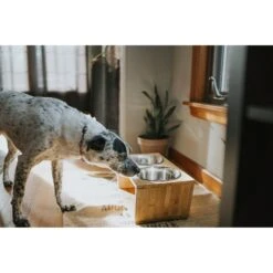 Pawfect Pets Premium Non-Skid Elevated Dog & Cat Bowl 13 Pawfect Pets Premium Non-Skid Elevated Dog & Cat Bowl -PetSafe Shop Sale 127480 PT4. AC SS1800 V1627612941