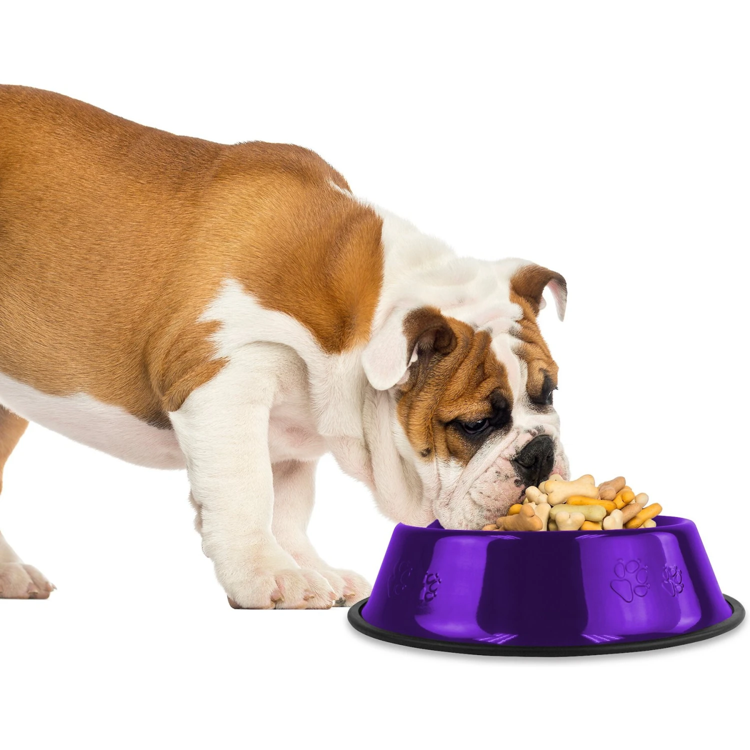 Platinum Pets Non-Skid Stainless Steel Embossed Dog & Cat Bowl 2 Platinum Pets Non-Skid Stainless Steel Embossed Dog & Cat Bowl - Image 2