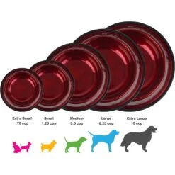 Platinum Pets Non-Skid Stainless Steel Embossed Dog & Cat Bowl 11 Platinum Pets Non-Skid Stainless Steel Embossed Dog & Cat Bowl -PetSafe Shop Sale 135811 PT8. AC SS1800 V1536863635
