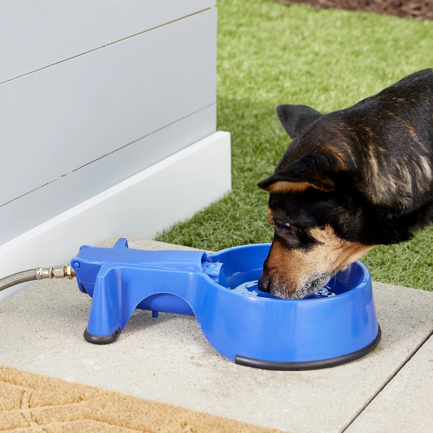 The Easy-Clean Water Bowl Dog, Cat & Livestock Auto-Fill Water Bowl With Hose 2 The Easy-Clean Water Bowl Dog, Cat & Livestock Auto-Fill Water Bowl With Hose - Image 2