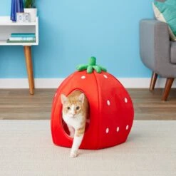 YML Strawberry Covered Cat & Dog Bed -PetSafe Shop Sale 138280 PT3. AC SS1800 V1566337340