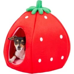 YML Strawberry Covered Cat & Dog Bed -PetSafe Shop Sale 138280 PT4. AC SS1800 V1566337660