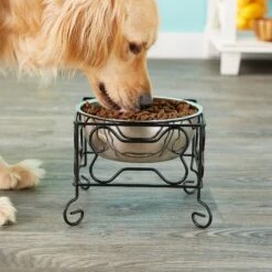 YML Wrought Iron Stand With Stainless Steel Dog Bowl -PetSafe Shop Sale 138285 PT3. AC SS1800 V1530223119