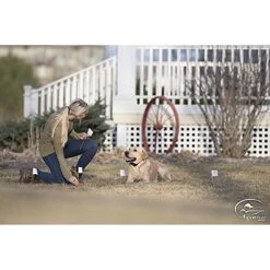 SportDOG Contain + Train System -PetSafe Shop Sale 140659 PT4. AC SS1800 V1510778017